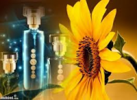 /album/zuzana-essens/parfemy-png/